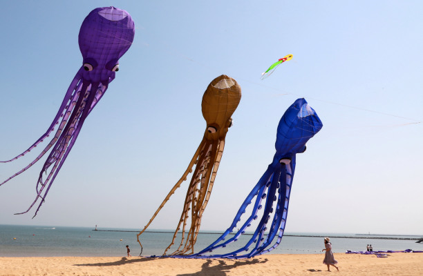 OctoML recauda $ 28 millones Serie B para su plataforma de aceleración de aprendizaje automático