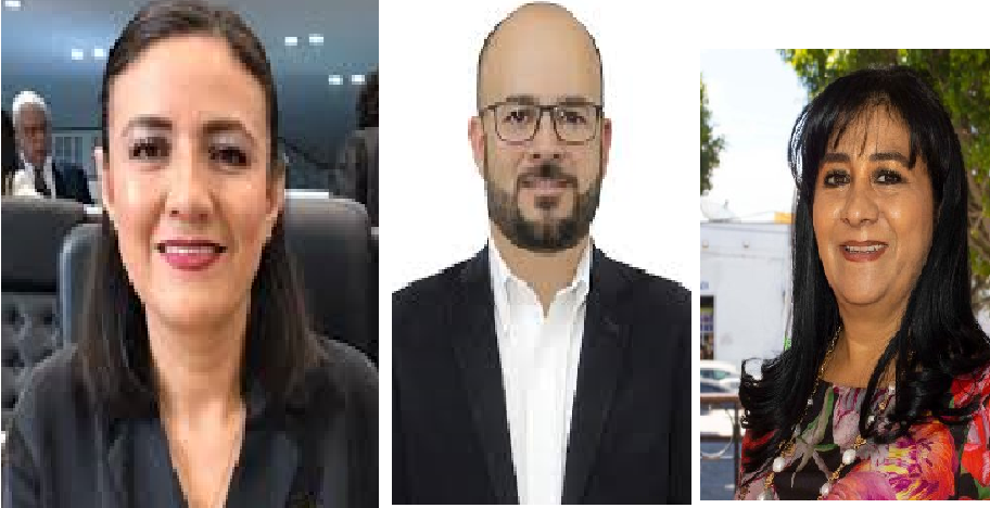 Paloma Arce, Jorge Luis Montes y Beatriz Robles serían candidatos de MORENA a diputaciones federales