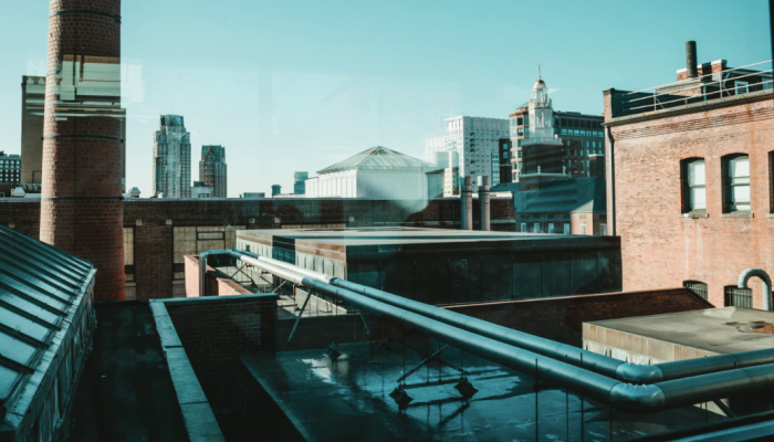 Pangea, respaldado por YC, analiza el crecimiento y la recaudación de fondos antes del día de la demostración