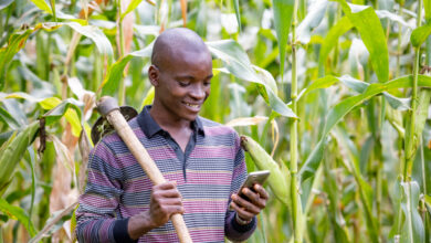 Wefarm agrega $ 11 millones para expandir su red para agricultores independientes, ahora con 2.5 millones de usuarios