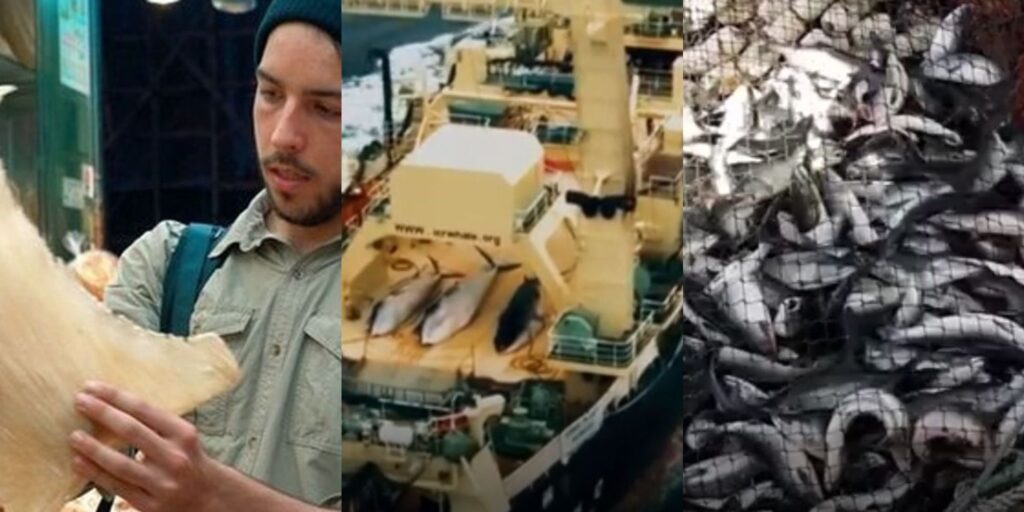 10 mensajes más importantes de Seaspiracy |