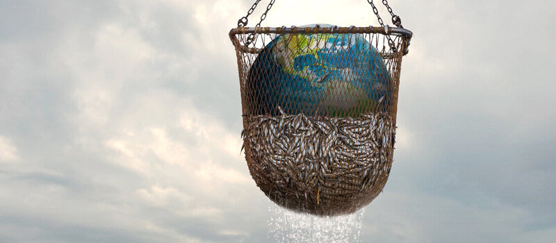 seaspiracy-netflix-uk-top-10s seaspiracy netflix reino unido top 10