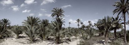 'Albatera (Alicante), 1939'. Serie 'Cartografías silenciadas' (2006-2014).