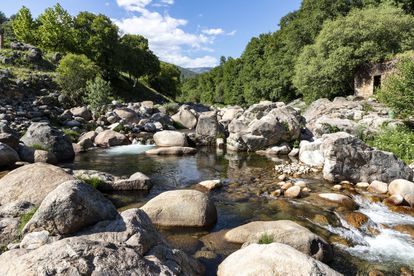 La garganta de Cuartos en La Vera, una comarca fértil y frondosa que en esta especial primavera de 2021 se encuentra en plenitud.