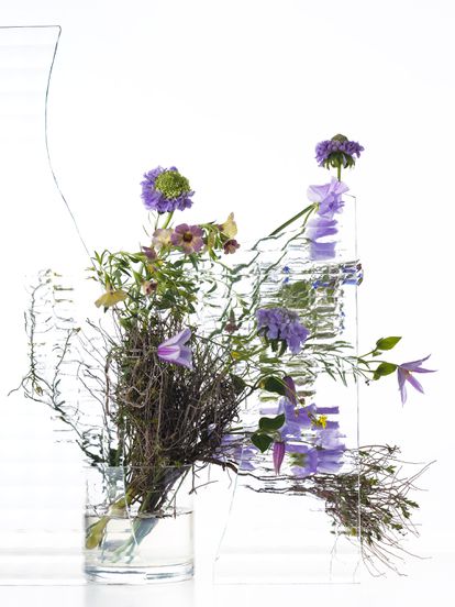 Clematis, flores de acerico (Scabiosa japonica), Euphorbia spinosa, borraja (Borago officinalis), campanillas (Calibrachoa hybrida), col de invierno (Brassica napus) y guisantes de olor (Lathyrus odoratus). 