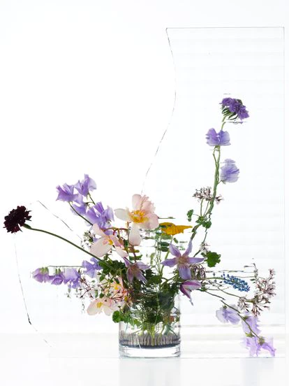 Flor de acerico (Scabiosa japonica), flor de la viuda (Scabiosa atropurpurea), guisantes de olor (Lathyrus odoratus), clematis, begonia, capuchina (Tropaeolum majus), nazarenos (Muscari mill) y geranios (Pelargonium geranium). )