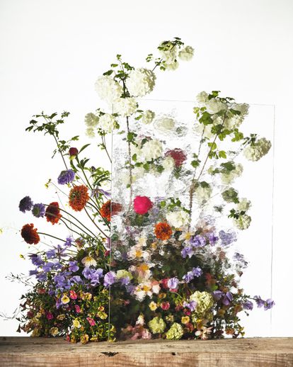 Un ramo con bolas de nieve (Viburnum opulus), guisantes de olor (Lathyrus odoratus), clematis, begonias, flores de acerico (Scabiosa japonica), rosas de invierno (Ranunculus pompom), campanillas (Calibrachoa hybrida), peonias y coles de invierno (Brassica napus).