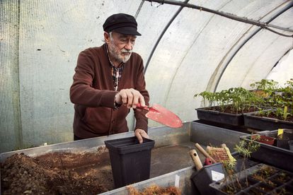 Los serbales son la debilidad de Isidoro García. “En mi pueblo había muchos. Tienen unas hojas de un verde profundo y una pulpa dulce que me encantaba comer”, relata. Su negociado en el vivero es la infraestructura: suelos, soportes, briks que sirven de macetas… “Para mí esto es el paraíso”, sentencia.