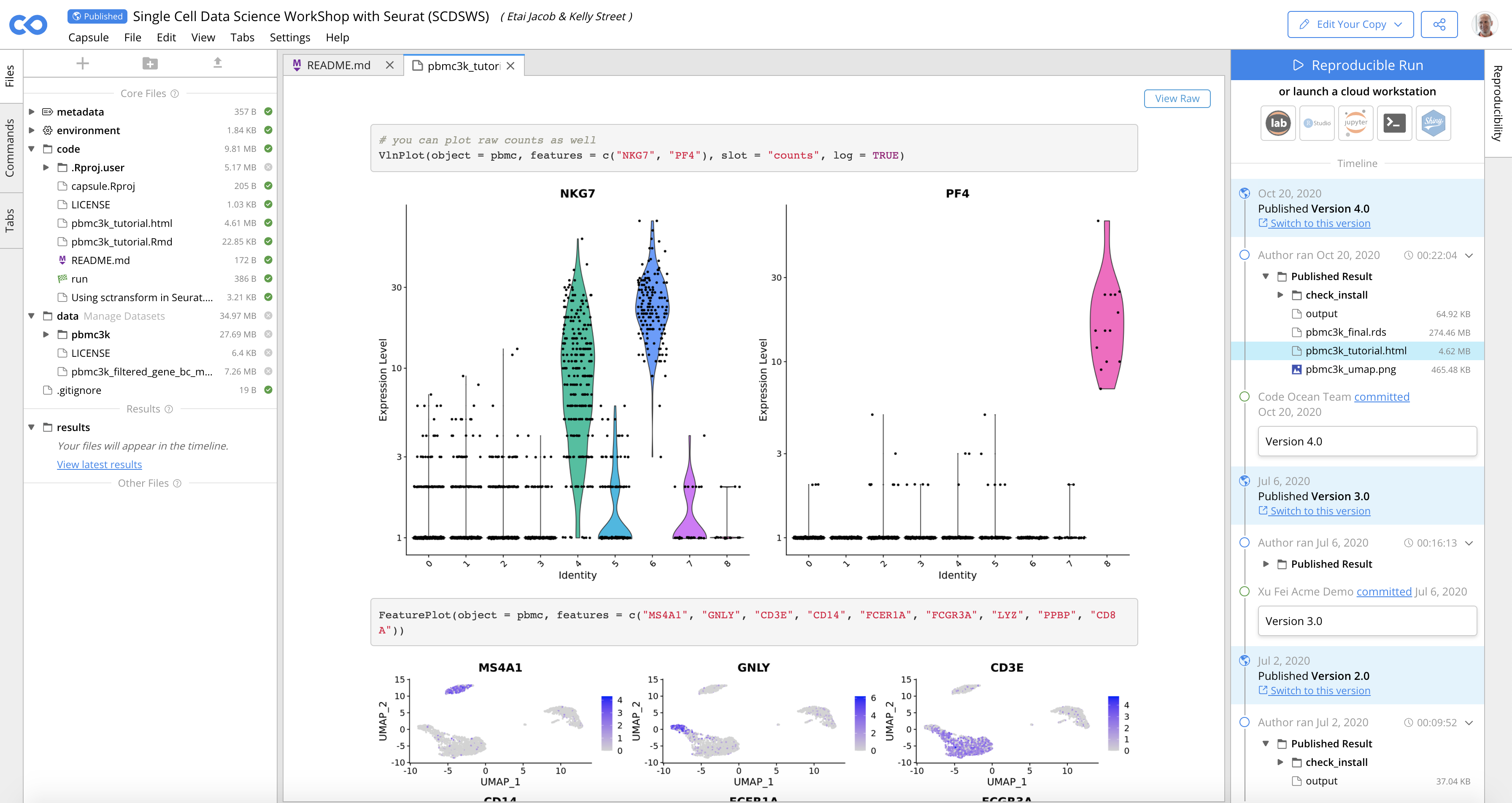 Captura de pantalla del entorno del banco de trabajo Code Ocean.