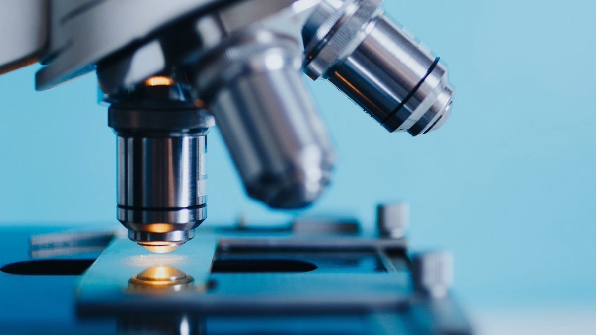 ¿Quién inventó el microscopio y en qué año?