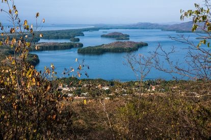 Vista panorámica de la laguna Pastoría y del ecosistema de manglares que está en peligro de desaparecer. Pincha en la imagen para ver la galería completa.
