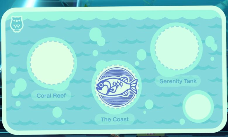 Animal Crossing: Cada tarea (y recompensas) del Día Internacional de los Museos 2021