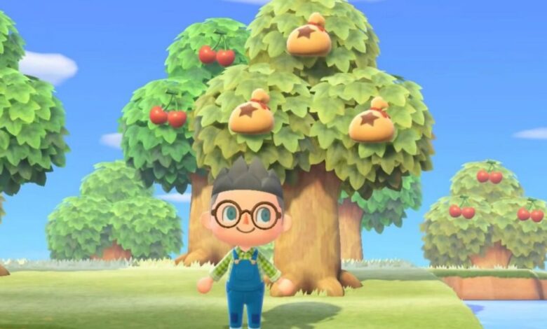 Animal Crossing New Horizons: Cómo plantar árboles del dinero