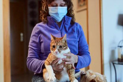 “Hacedle la foto al rebelde”, insta con cariño Ángela Sánchez, de 53 años y madre de la Ángela hija, en el salón de su casa adosada de Colmenar Viejo. Aquí viven seis gatos, todos adoptados, y un perro. “El hermano era un amor, pero este es un cardo setero. Es muy especial y le queremos mucho”.