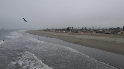 El litoral del valle bajo del río Lurín. Al fondo se ven las palmeras del humedal de Quilcay, una parte del cual ahora está encerrado en un recinto industrial.