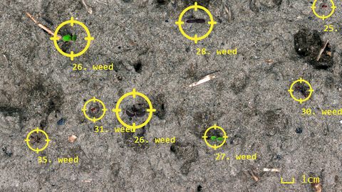 el robot se enfoca en las malas hierbas con visión por computadora a bordo