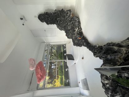 Exposición 'Tal vez fue ella la que dijo date la vuelta', de Nora Silva, comisariada por Lava Art Project. Estuvo en Habitación 34 del 23 de marzo al 17 de abril 2021. I HABITACIÓN NÚMERO 34. 