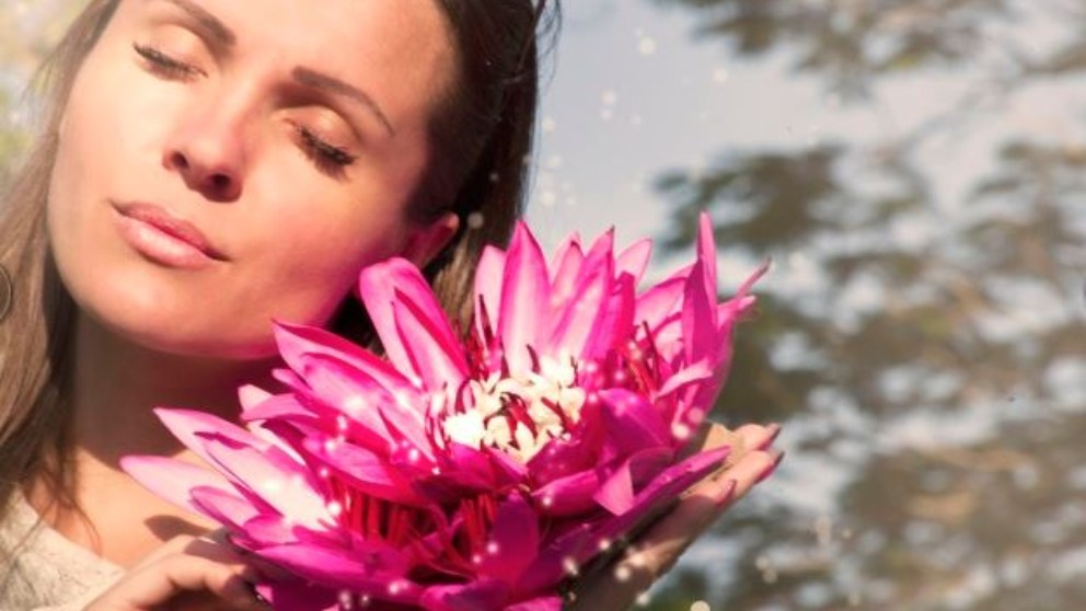 Hormonas: qué son, tipos y cuál es su función