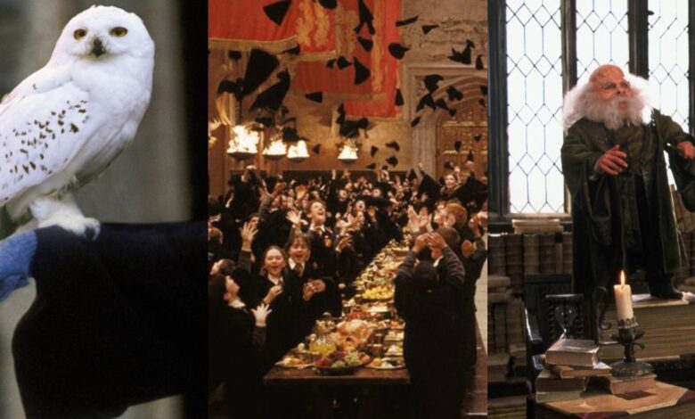 Legado de Hogwarts: 10 opciones de personalización de personajes que los fanáticos quieren para el juego de Harry Potter