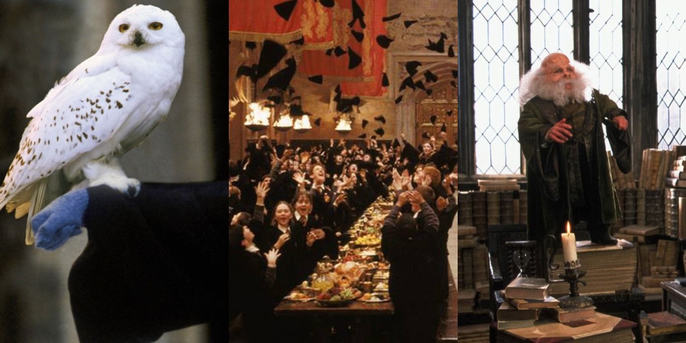 Legado de Hogwarts: 10 opciones de personalización de personajes que los fanáticos quieren para el juego de Harry Potter