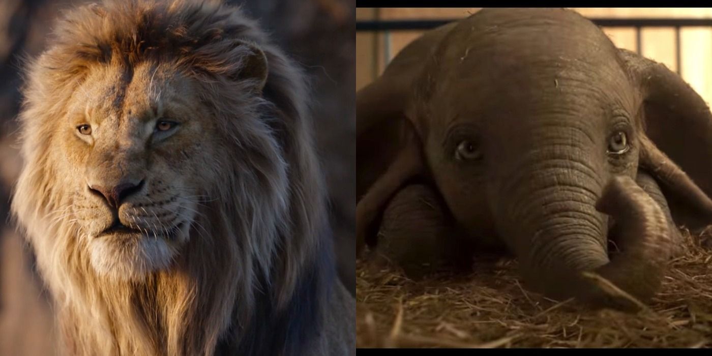 Los 10 mejores remakes de acción real de Disney, clasificados por Letterboxd