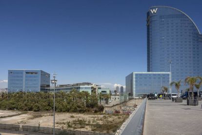 Terrenos donde iría el Museo Hermitage de Barcelona si se acaba construyendo.