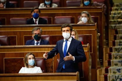 El líder del PP, Pablo Casado, durante una intervención en el Congreso.