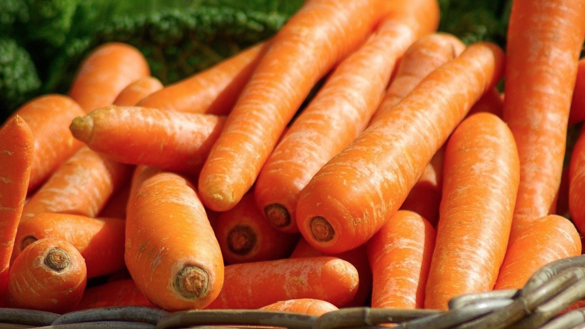 Remedios caseros para darle brillo al pelo de forma natural