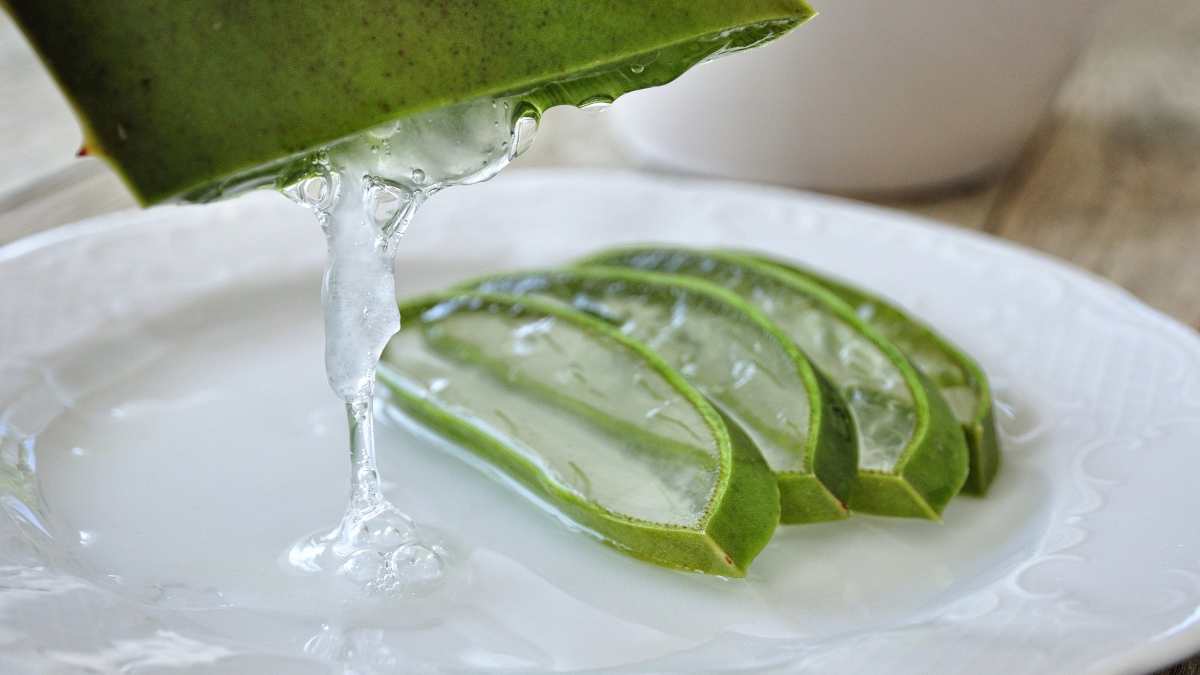 Beneficios aloe vera