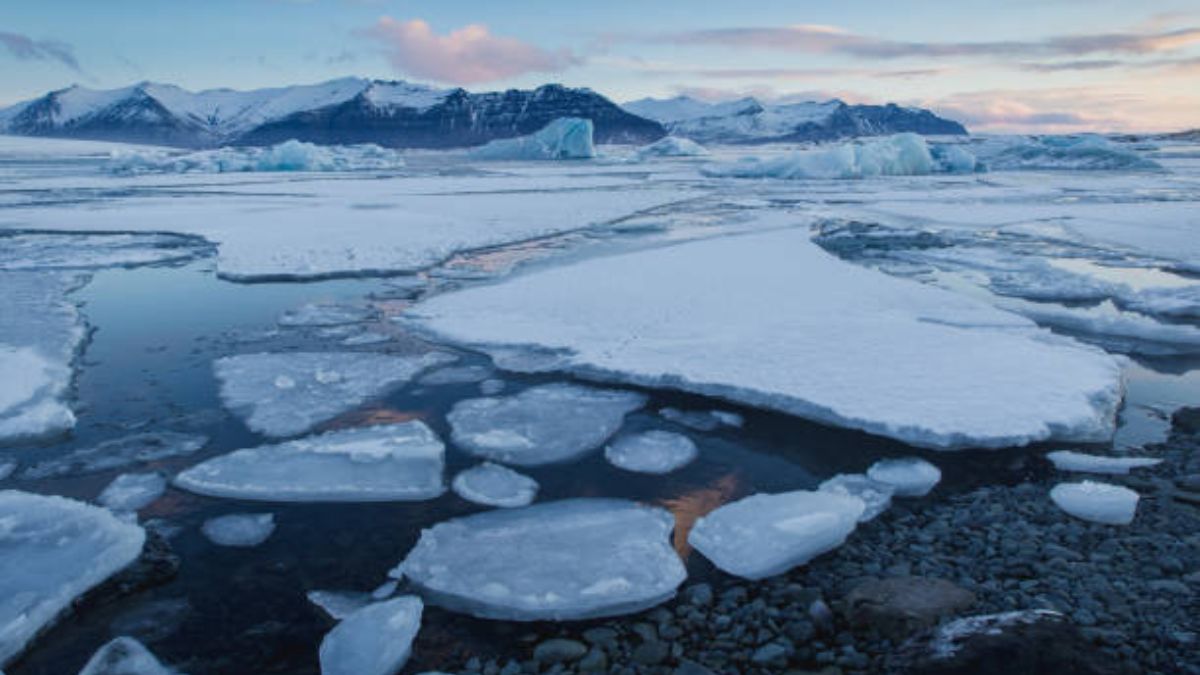 causas, efectos y cómo evitarlo