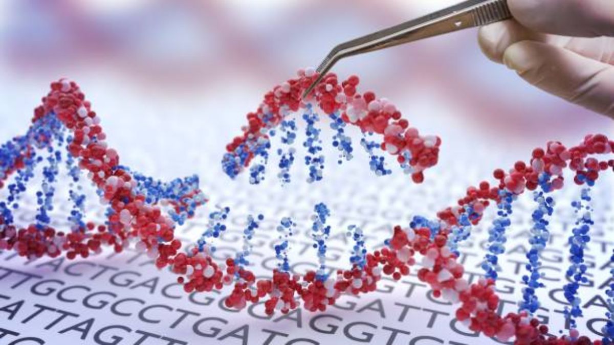 tipos y principio de la teoría