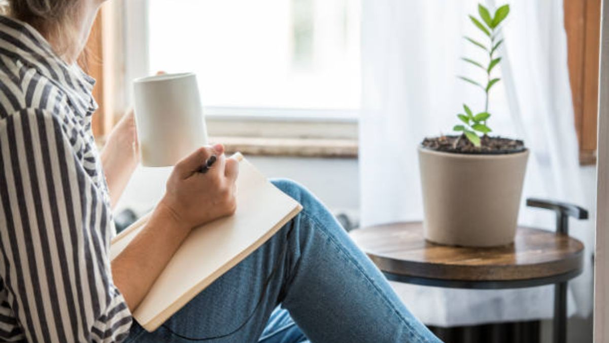 ¿Cuáles son las reglas básicas de la ortografía?