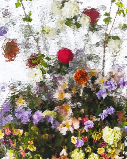 Un ramo con bolas de nieve (Viburnum opulus), guisantes de olor (Lathyrus odoratus), clematis, begonias, flores de acerico (Scabiosa japonica), rosas de invierno (Ranunculus pompom), campanillas (Calibrachoa hybrida), peonias y coles de invierno (Brassica napus).