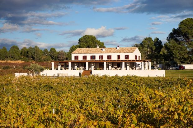 Planazo de fin de semana, el enoturismo está de moda este verano