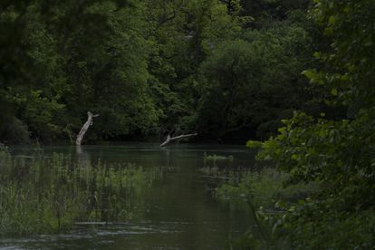 El río León a la altura de Belton (Texas), lugar donde fue encontrado el cuerpo de Vanessa Guillén.