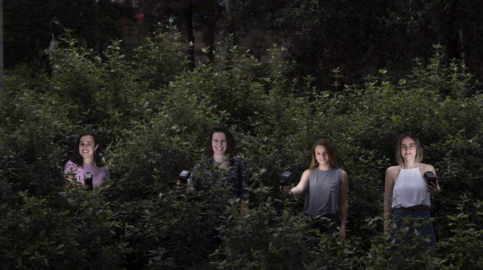 Mar Sifre, Alejandra Sánchez, Andrea Salazar i Maria Giménez, de Feminismes (RNE).