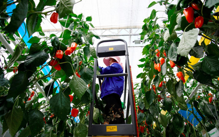 EU ampliará permisos de trabajo para inmigrantes que son víctimas de delitos