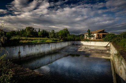 La piscina abandonada, solo tiene agua de lluvia y maleza alrededor.