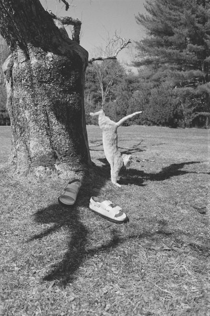 Uno de modelos de la colaboración entre Birkenstock y Jil Sander+, la línea pensada para la vida fuera de la ciudad.