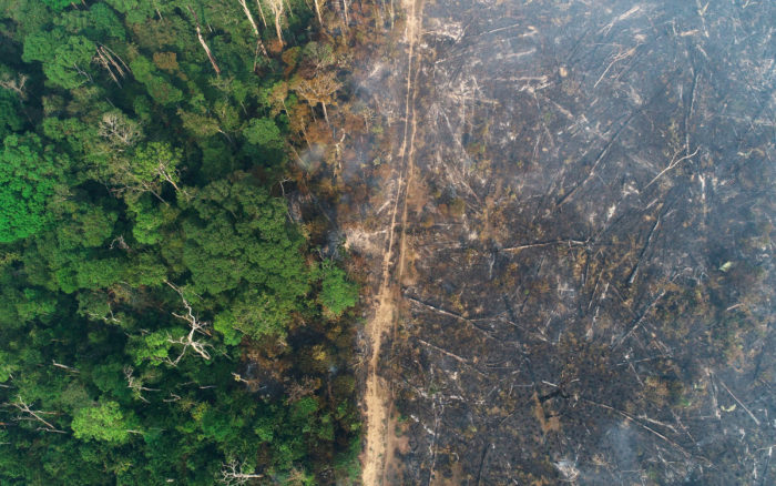 Brasil prohíbe las fogatas y destina militares para proteger la selva amazónica