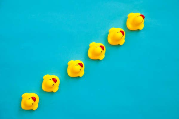 Antes de una salida, los fundadores deben conseguir sus patos en materia de derecho laboral en una fila.