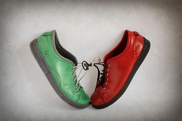 Cómo los VC pueden aprovechar al máximo la coinversión junto con los LP