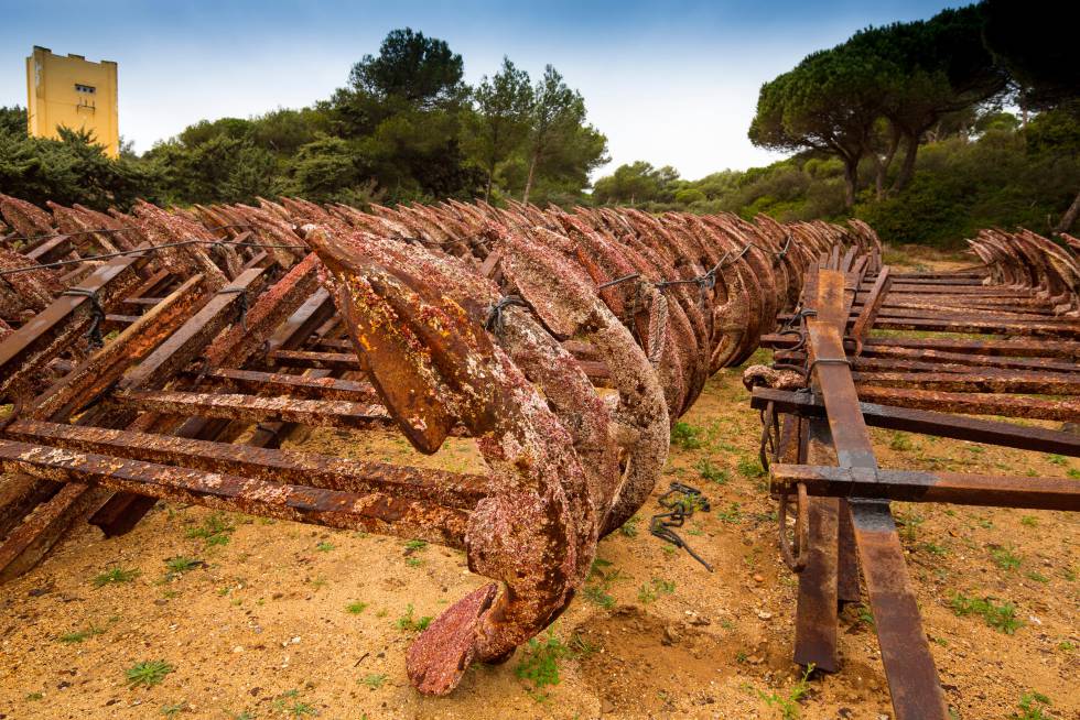 Las grandes redes con las que se captura el atún rojo quedan sujetas al lecho marino por grandes anclas. Al no ser una pesca de arrastre, el fondo del mar no se degrada.