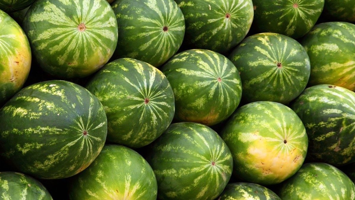 Disfruta de una buena sandía en verano con estos trucos