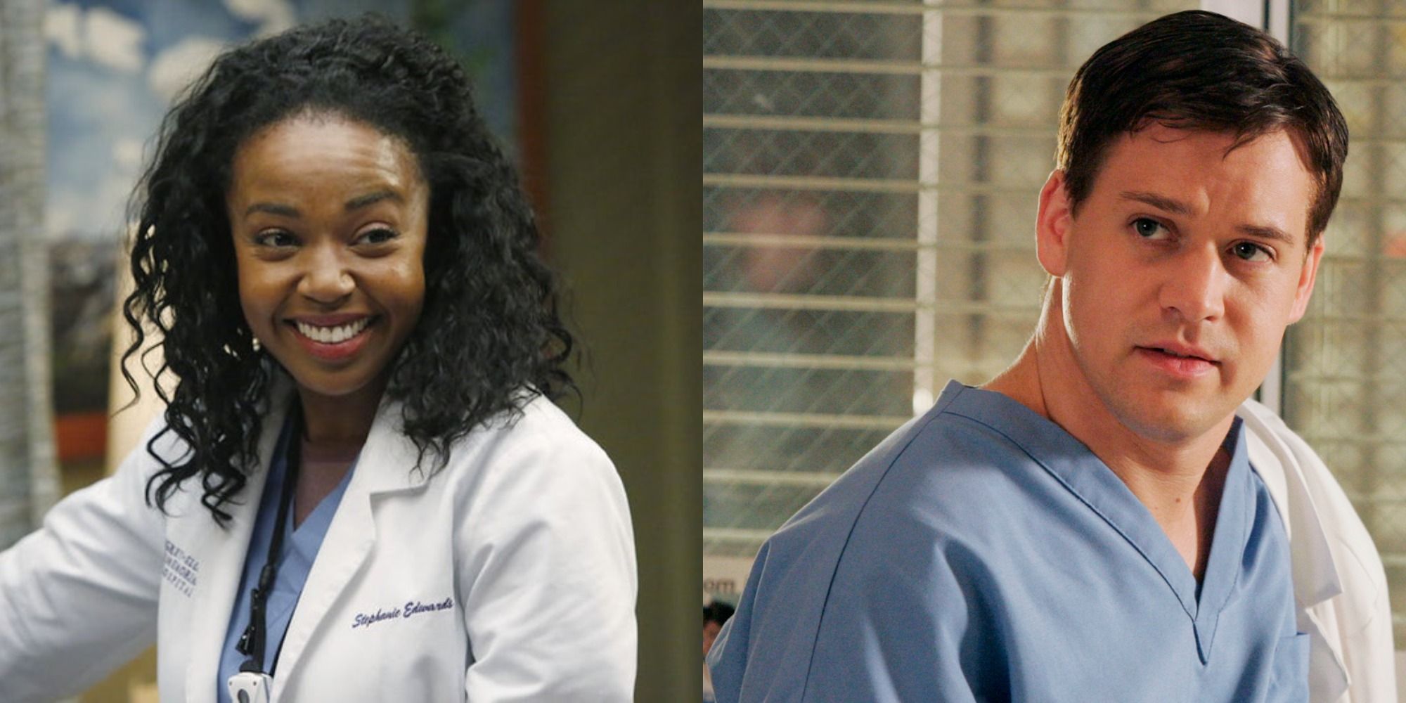 Grey's Anatomy: 10 héroes discretos en el programa |