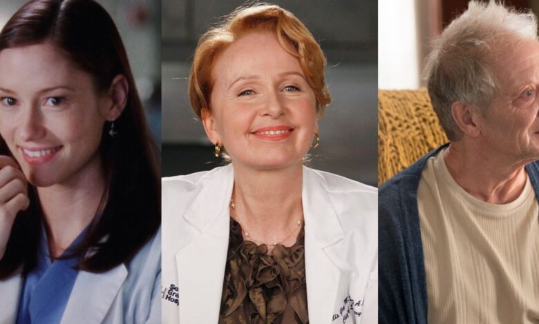 Grey's Anatomy: todos los miembros de la familia de Meredith, clasificados por simpatía