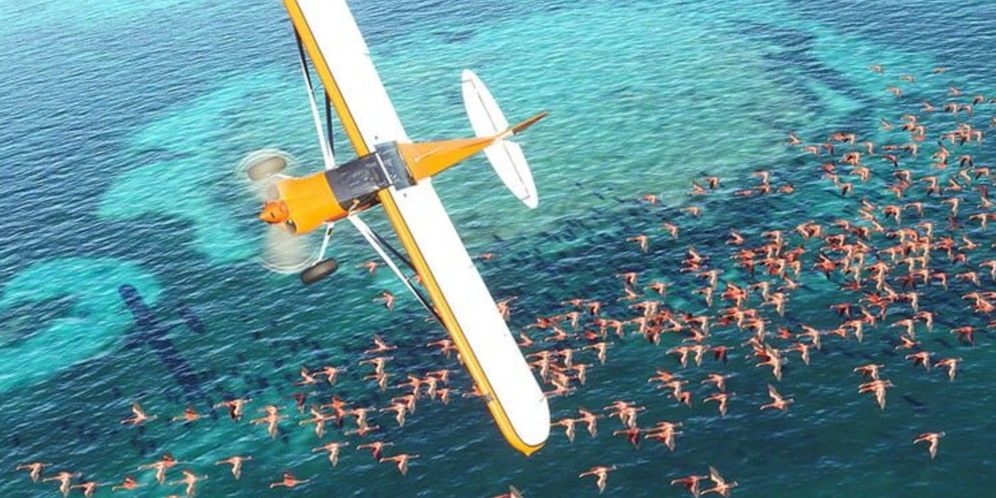 Nuevas funciones de accesibilidad de la consola de Microsoft Flight Simulator