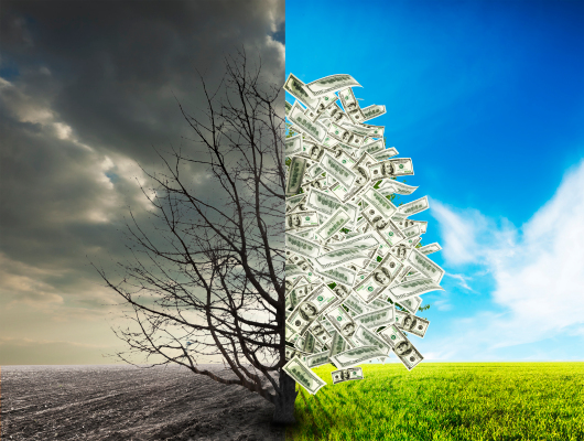 Optar por una ronda de deuda puede llevarlo de la puesta en marcha de la Serie A al unicornio de la Serie B