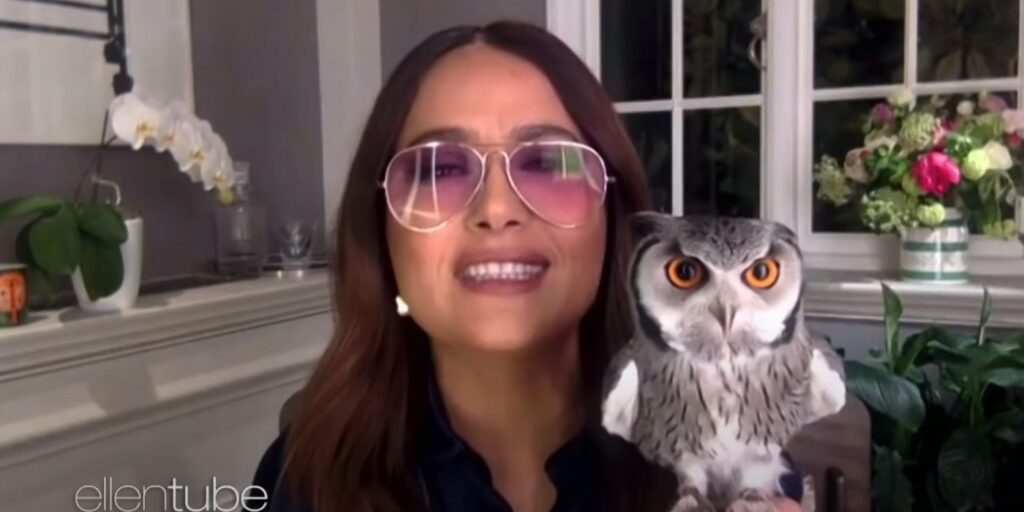 Salma Hayek cuenta la historia de su búho mascota que vomita en la cabeza de Harry Styles