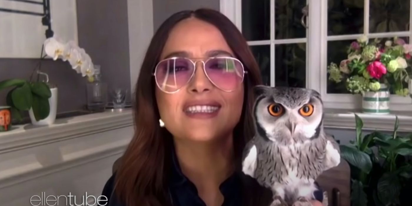 Salma Hayek cuenta la historia de su búho mascota que vomita en la cabeza de Harry Styles